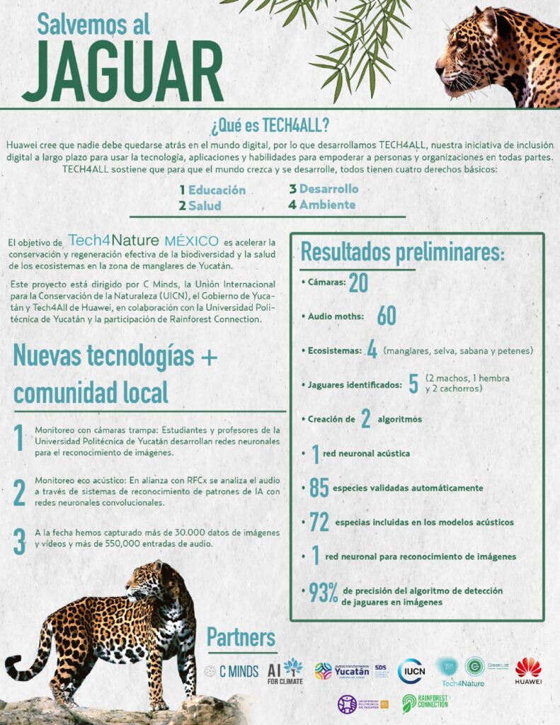 IA identifica jaguares Dazilam