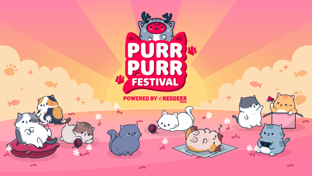 Purr Festival juegos gatos