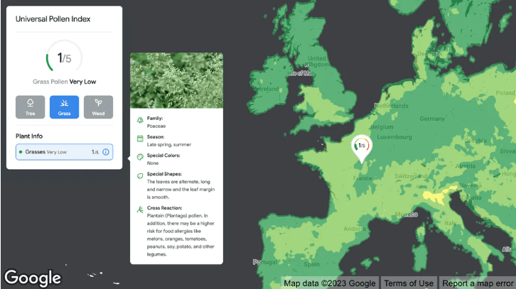 Google mapear información ambiental