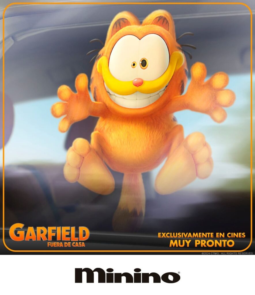 Minino Garfield