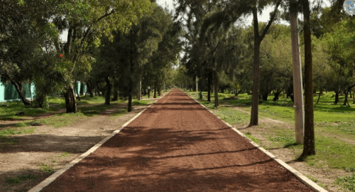 Bosque de Aragón (Noreste CDMX)