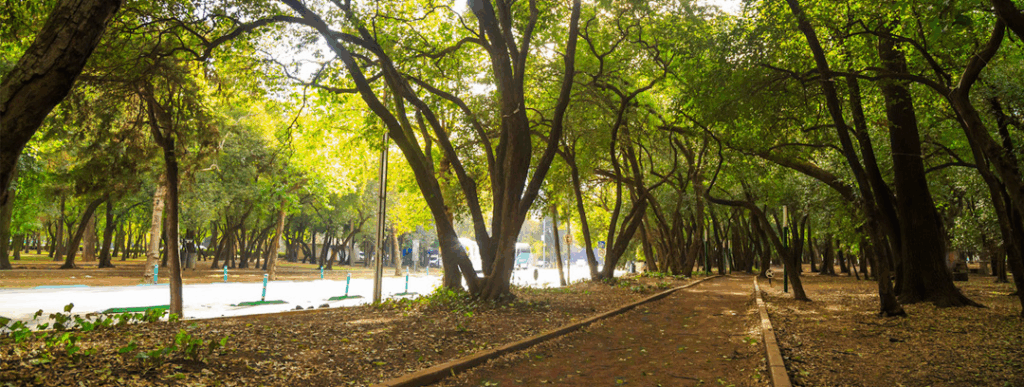 Circuito Gandhi (Polanco)
