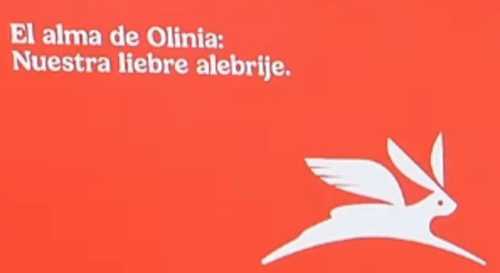 Olinia