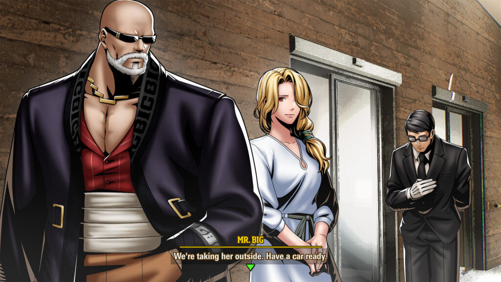 mr. big fatal fury