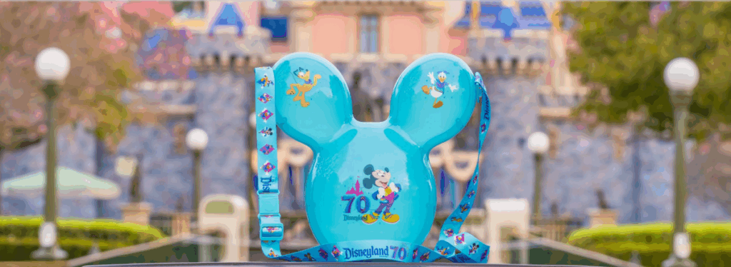Disneyland 