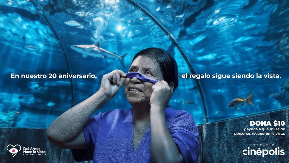 Del Amor Nace la Vista