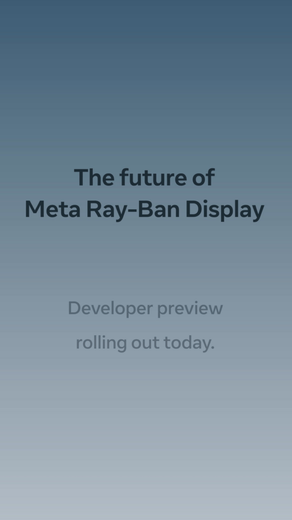 Meta Ray-Ban