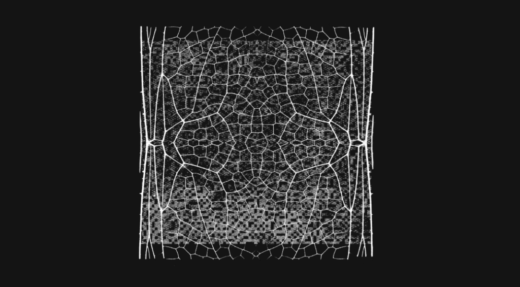 Anthropic