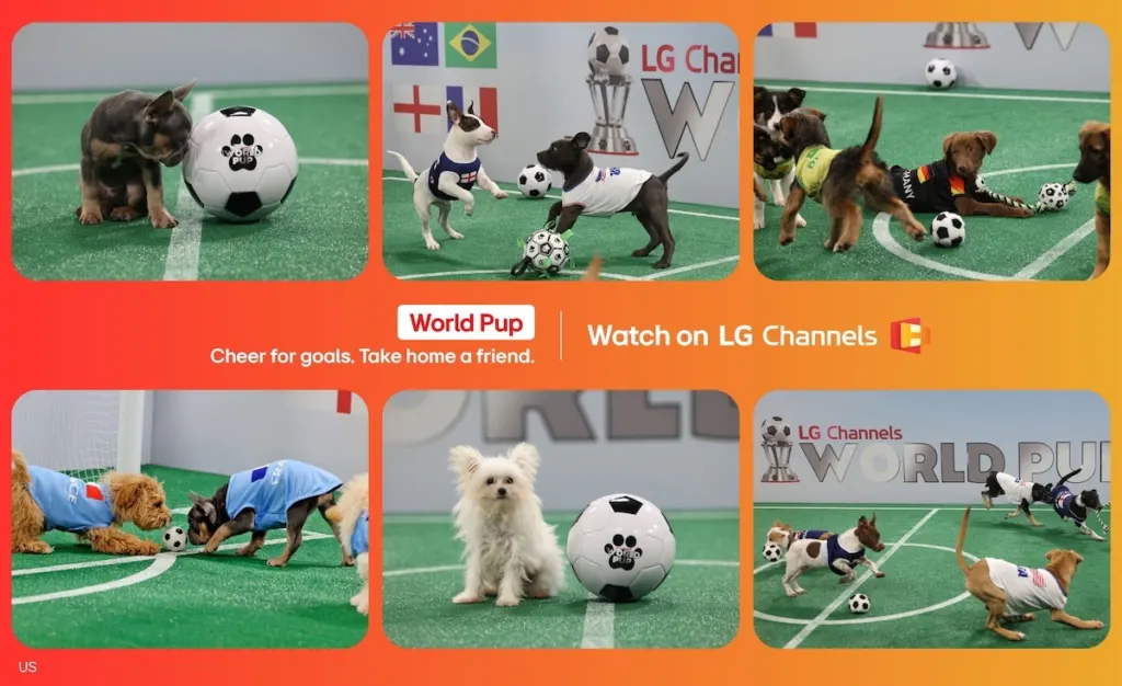 LG Channels