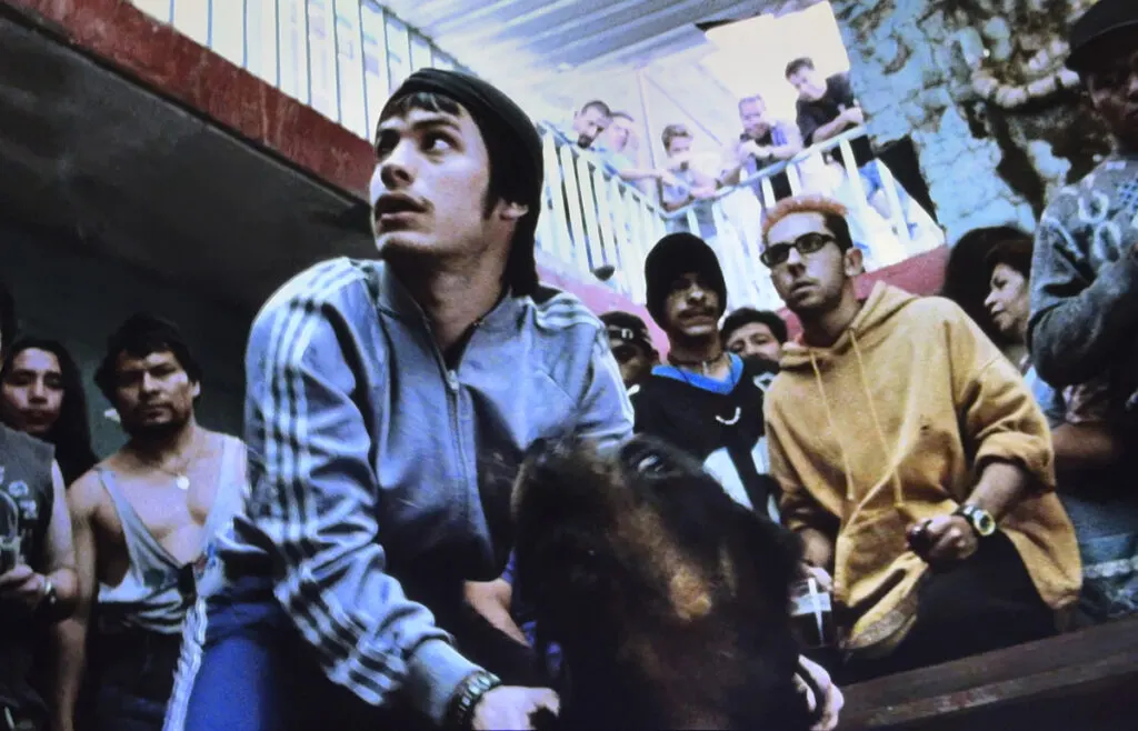 Amores perros