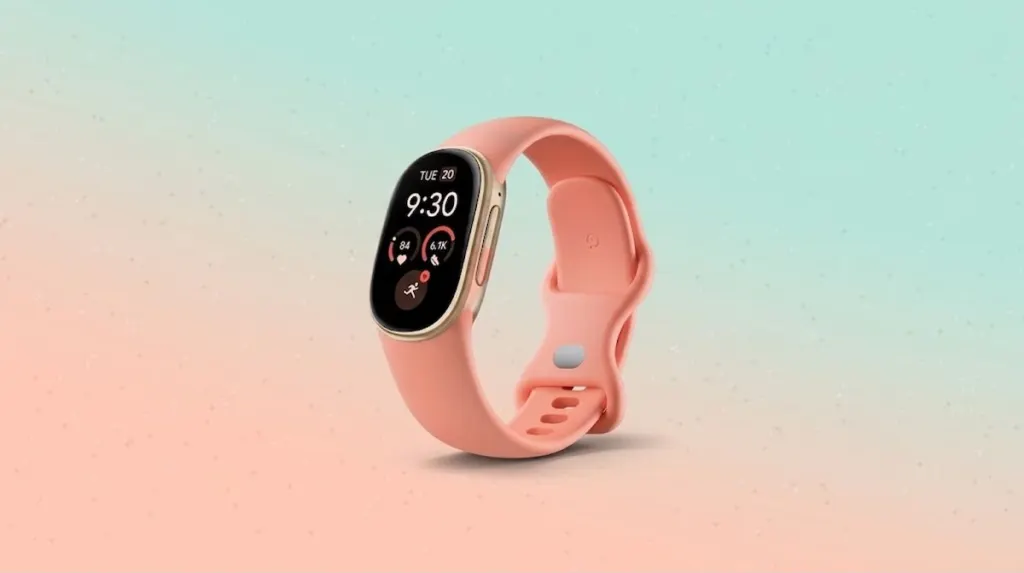 Google Fitbit Edge