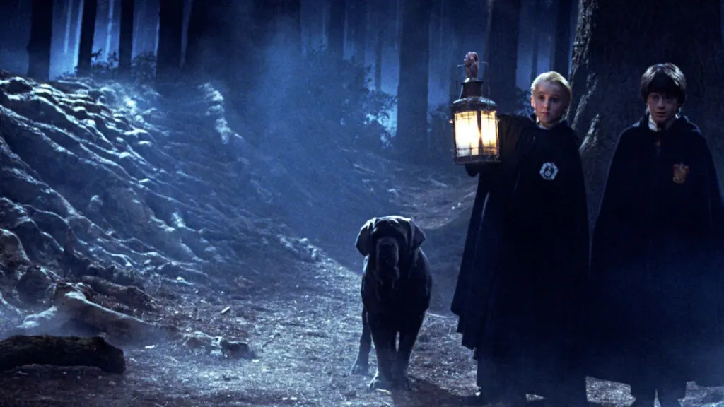 HBO Harry Potter